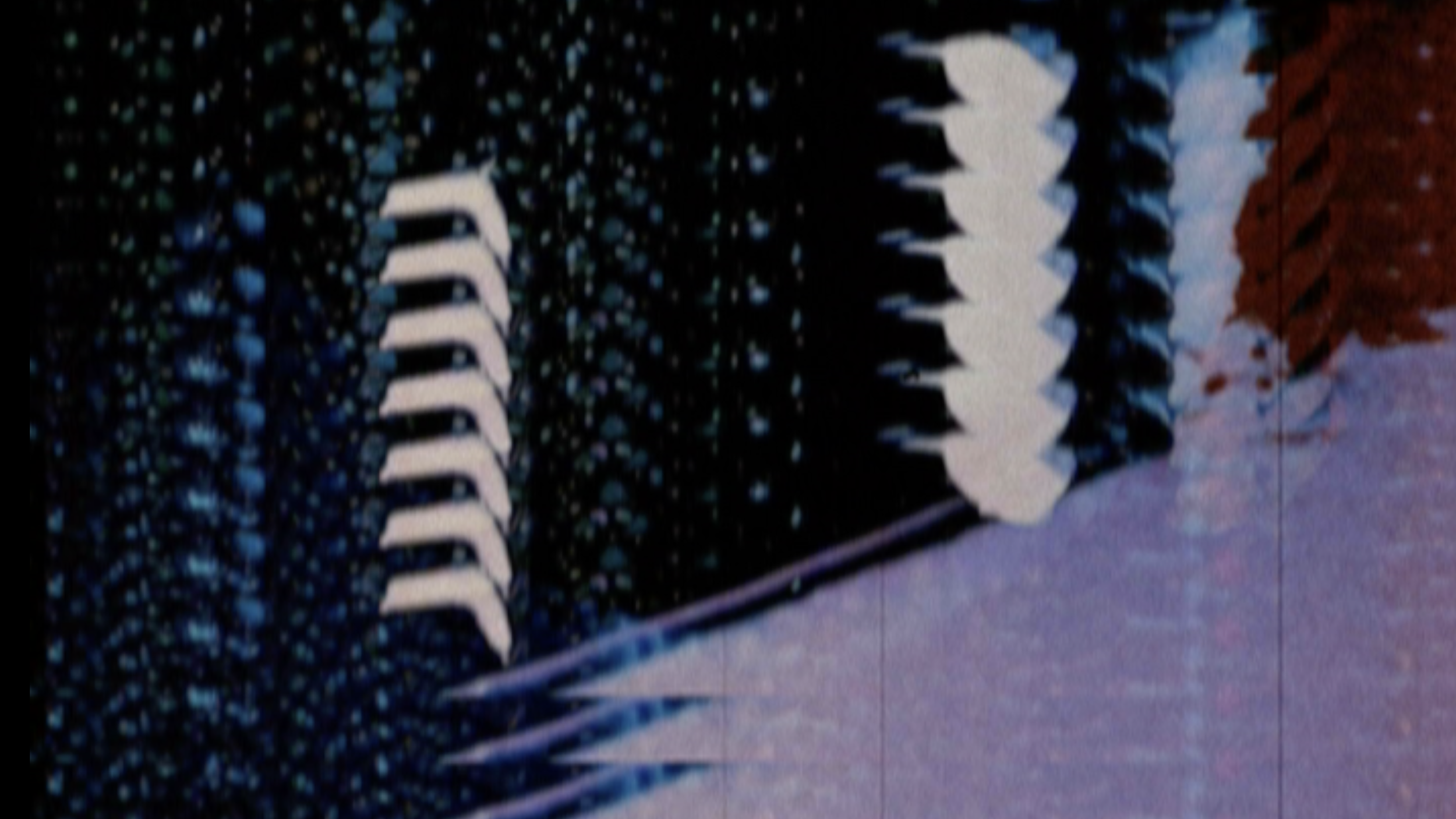 News — Curtis Roads